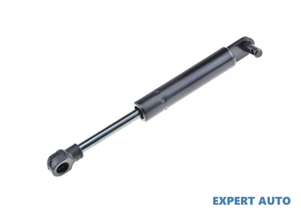 Amortizor portbagaj Renault MEGANE I (1996-2004)[BA0/1_] #1 7700838487