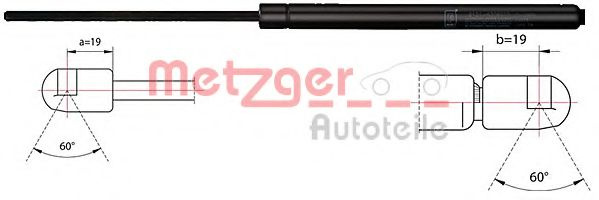 Amortizor portbagaj VW TIGUAN (5N_) (2007 - 2016) 