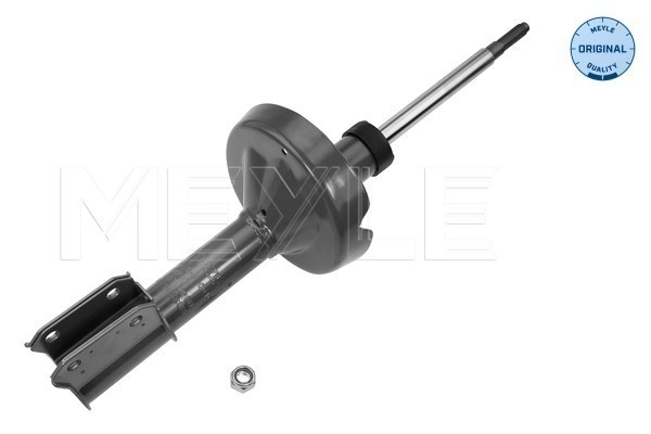 Amortizor punte fata (16266230010 MEYLE) RENAULT