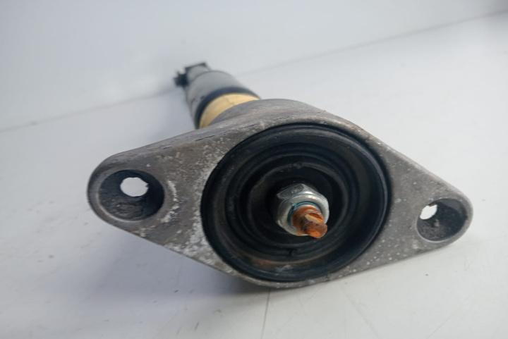 Amortizor spate 814902001545 Audi A6 4F/