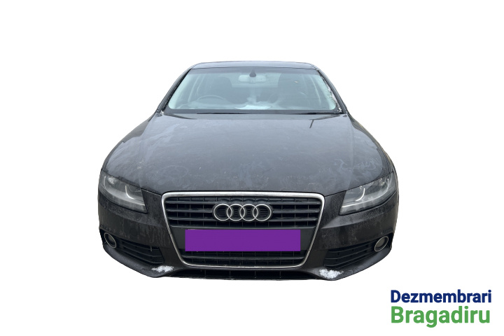 Amortizor spate dreapta Audi A4 B8/8K [2007 - 2011