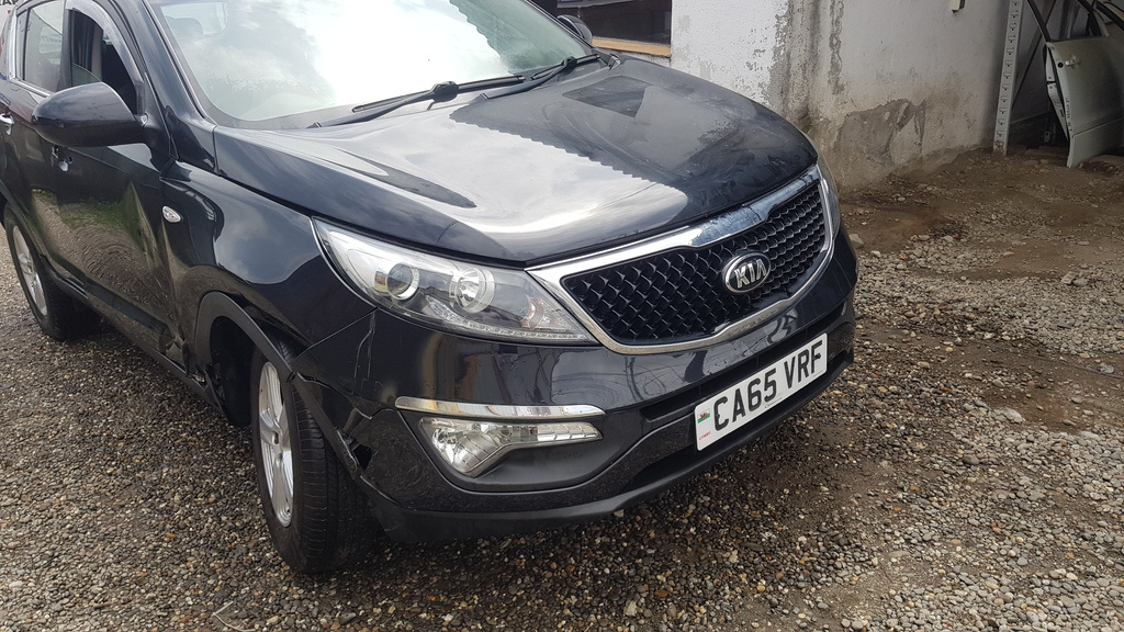 Amortizor Stanga Spate Kia Sportage III 