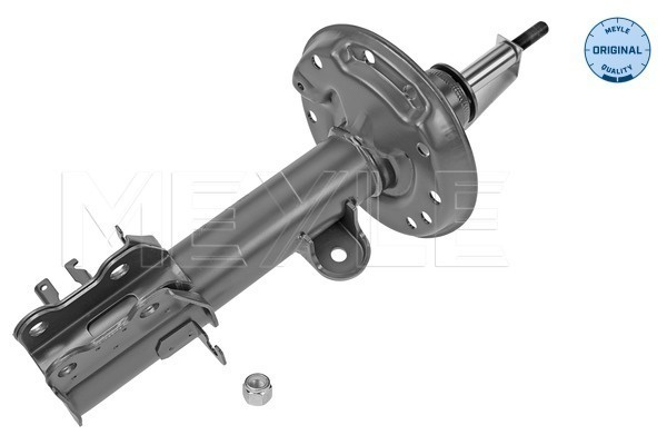 AMORTIZOR / TELESCOP # Axa fata stanga Fiat Punto 2010 2011 2012 2013 2014 2015 2016 2017 2018 2019 2020 2021 2022 2023 2024 2025 # 626 623 0016 # MEYLE