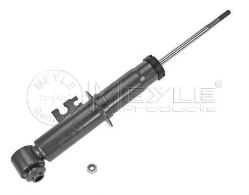 Amortizor telescop MINI MINI R50 R53 MEYLE 3267230000
