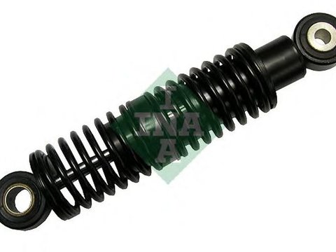 Amortizor vibratii curea AUDI A4 8E2 B6 INA 533011210