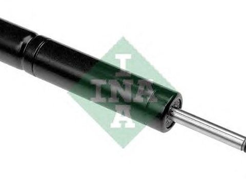 Amortizor vibratii curea MERCEDES-BENZ S-CLASS W221 INA 533010010