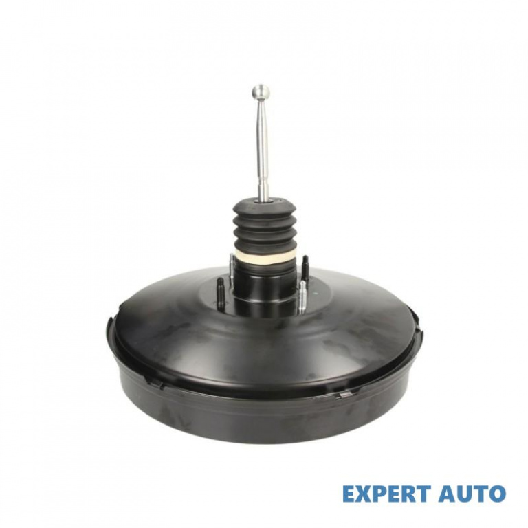 Amplificare frane Volkswagen VW CADDY III combi (2KB, 2KJ, 2CB, 2CJ) 2004-2016 #2 03787343024