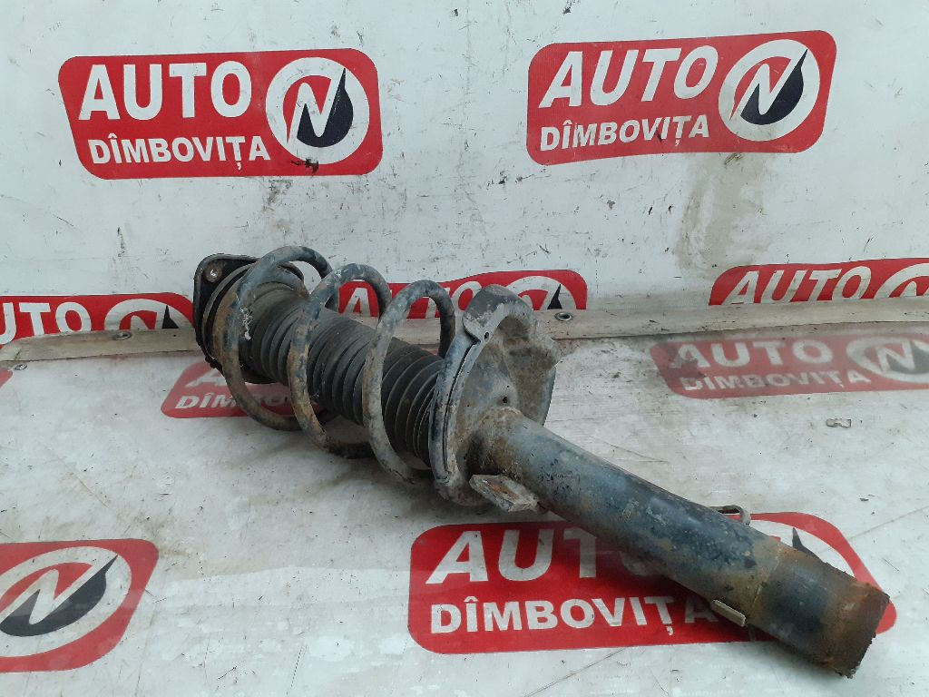 ANSAMBLU AMORTIZOR/ARC DREAPTA FATA FORD FOCUS II 