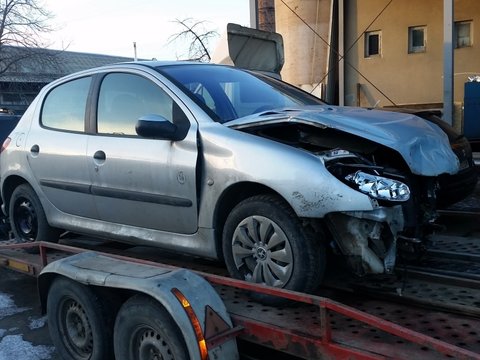 Ansamblu amortizor - Peugeot 206, 1.4hdi, an 2005