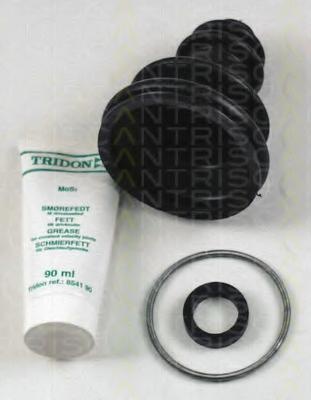 Ansamblu burduf, articulatie planetara RENAULT CLIO (B/C57_, 5/357_), RENAULT FUEGO (136_), RENAULT 12 limuzina - TRISCAN 8540 25901