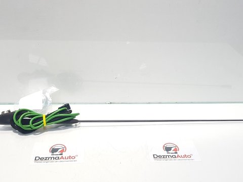 Antena radio, Ford C-Max 1