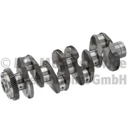 Arbore cotit BF 20050365100