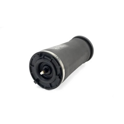 Arc pneumatic directie spate Arnott CHEVROLET TRAILBLAZER (KC_) 2001-2009 - A-2610