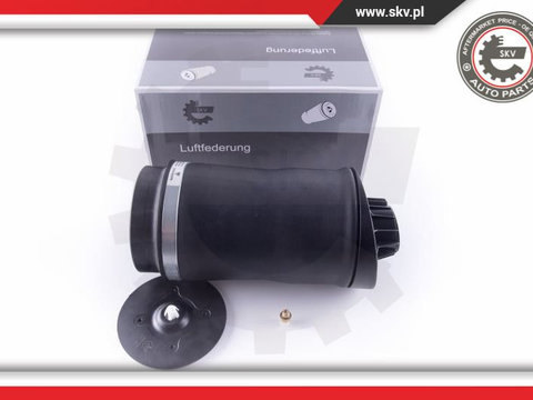 Arc pneumatic ; spate ; MERCEDES-BENZ R-Class (W251, V251) ; 2513200425