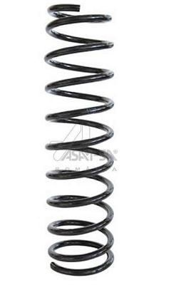 Arc spiral ASAM AUTOMOTIVE 30491