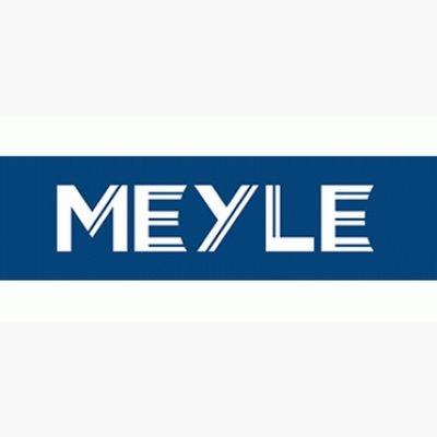 Arc spiral OPEL SIGNUM MEYLE 6146390013