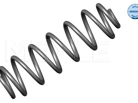 Arc spiral puntea spate (1007390006 MEYLE) VW