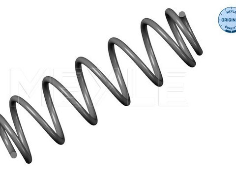 Arc spiral puntea spate (1007390049 MEYLE) VW