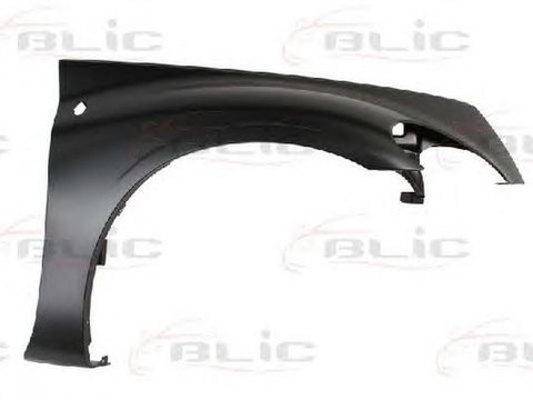 Aripa CHRYSLER PT CRUISER Cabriolet BLIC 6504040915312P