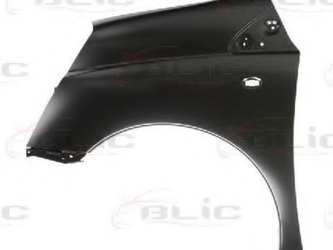 Aripa FIAT SCUDO platou / sasiu (272, 270) (2007 - 2016) BLIC 6504-04-0557311P