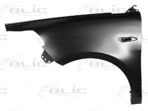 Aripa LANCIA YPSILON 312 846 BLIC 6504043332311P