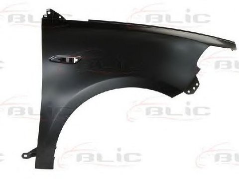 Aripa LANCIA YPSILON 312 846 BLIC 6504043332312P