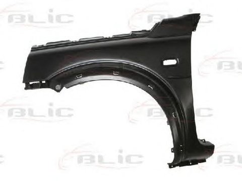 Aripa LAND ROVER FREELANDER LN BLIC 6504046425311P