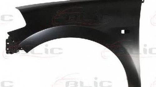 Aripa NISSAN TIIDA hatchback C11X BLIC 6