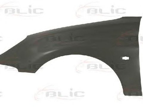 Aripa PEUGEOT 206 CC 2D BLIC 6504045507315P