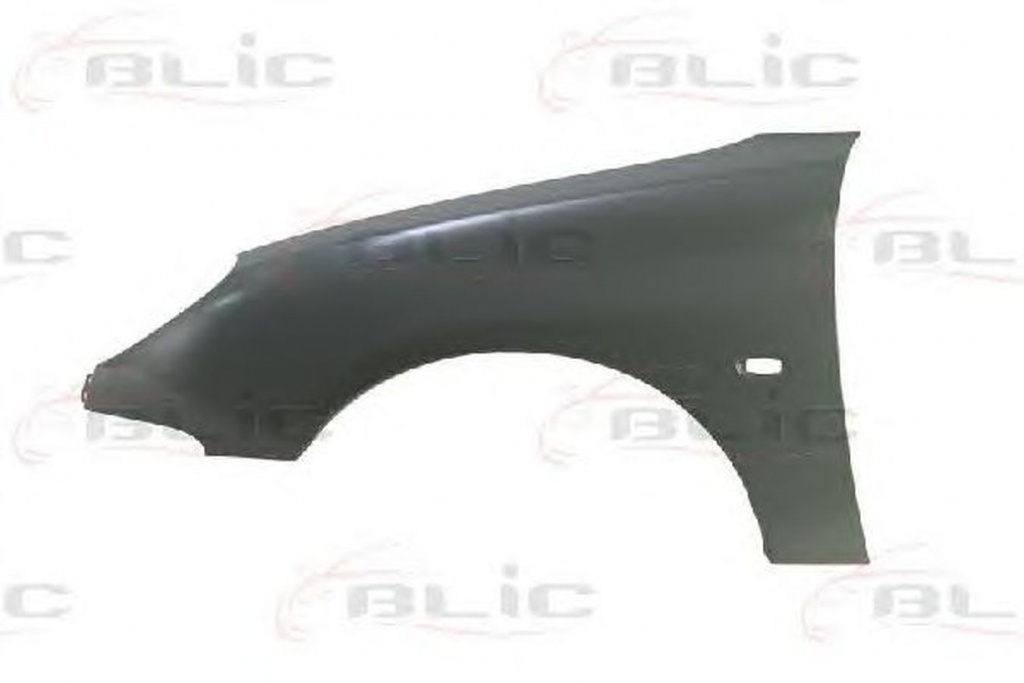 Aripa PEUGEOT 206 limuzina BLIC 6504045507311P