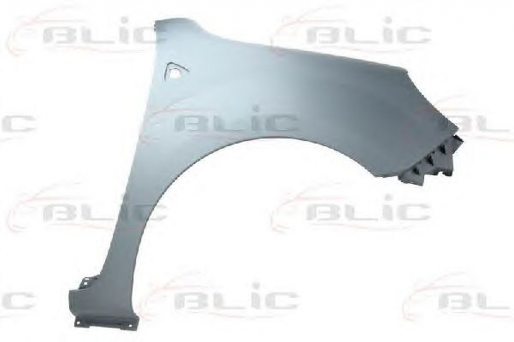 Aripa RENAULT KANGOO BE BOP KW0 1 BLIC 6504046011312P