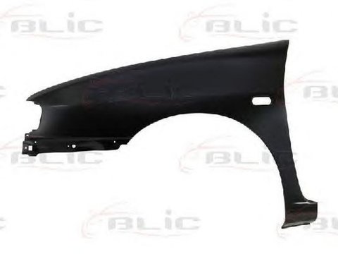 Aripa SEAT CORDOBA Vario 6K5 BLIC 6504046607315P