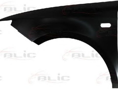 Aripa SEAT IBIZA V SPORTCOUPE 6J1 6P5 BLIC 6504046621311P