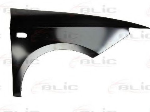 Aripa SEAT IBIZA V ST (6J8, 6P8) (2010 - 2016) BLIC 6504-04-6621312P