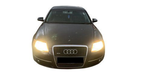 Aripa spate stanga Audi A6 4F/C6 [2004 -