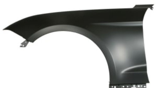 Aripa stanga (aluminiu) FORD USA MUSTANG MACH-E 07.18-