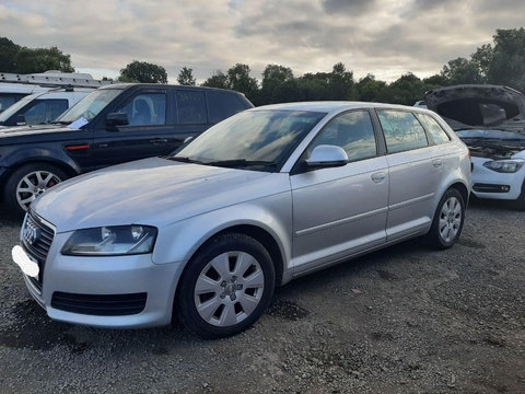 Aripa stanga fata Audi A3 8P 2008 HATCHBACK 1.9 TDI