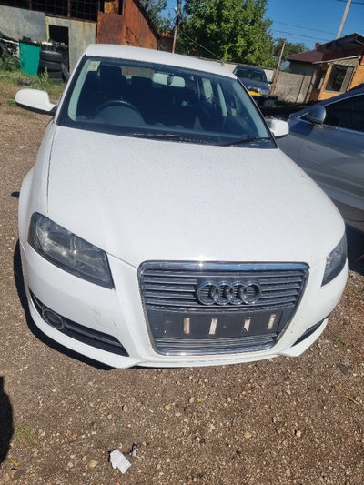 Aripa stanga fata Audi A3 8P 2010 Hatchback 2 0