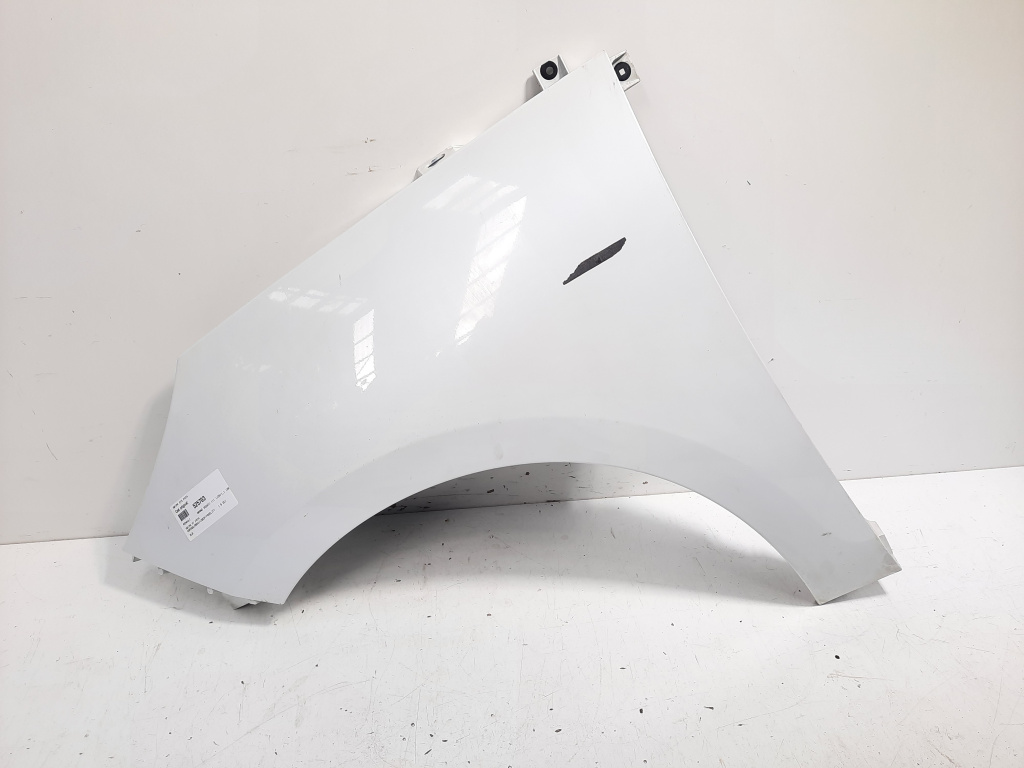Aripa stanga fata, Renault Scenic 3 (idi:525703)