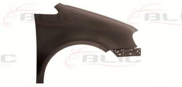 Aripa VW TOURAN (1T1, 1T2) (2003 - 2010) BLIC 6504-04-9545312P