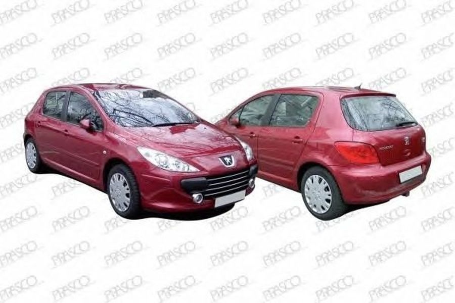 Armatura intaritura bara PEUGEOT 307 Break 3E PRASCO PG4221622