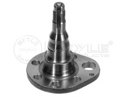 Articulatie directie, suspensie roata SEAT CORDOBA limuzina (6K1, 6K2), SEAT TOLEDO (1L), VW PASSAT (3A2, 35I) - MEYLE 100 501 0037