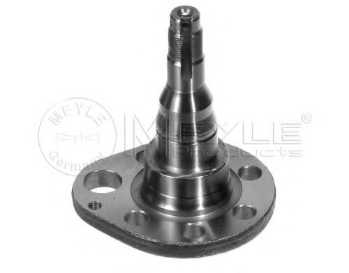 Articulatie directie, suspensie roata SEAT CORDOBA limuzina (6K1, 6K2), SEAT TOLEDO (1L), VW PASSAT (3A2, 35I) - MEYLE 100 501 0036