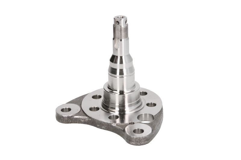 Articulatie directie, suspensie roata stecher butuc roata spate Stanga Spate SEAT CORDOBA CORDOBA VARIO IBIZA II TOLEDO I VW GOLF II GOLF III GOLF IV JETTA II PASSAT B3/B4 POLO POLO II 1.0-Electric 08.83-12.02 MEYLE 100 501 0012