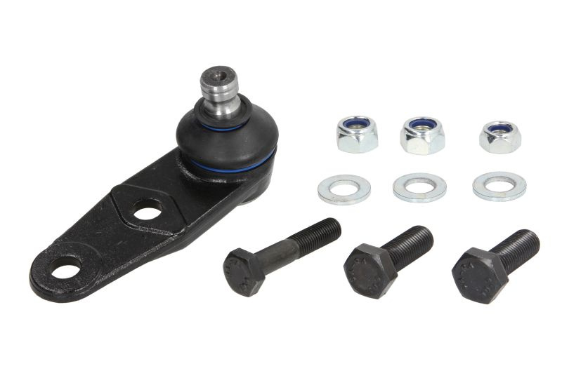 Articulatie sarcina/ghidare Pivot axa Dreapta/Stanga inferior fata diametru con 16mm RENAULT 19 I 19 I CHAMADE 19 II 19 II CHAMADE CLIO II CLIO II/HATCHBACK KANGOO KANGOO EXPRESS 1.0-2.0 06.89- DELPHI TC1438