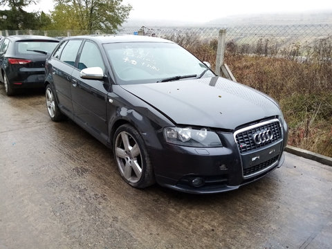 Audi A3 8P 2.0 TDI BMN QUATTRO 2007