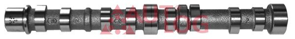 AUTLOG Ax cu came NW5017 model LANCIA YPSILON (843_) 188 A9.000 1248cc 70cp 51kW 2003 2004 2005 2006 2007 2008 2009 2010 2011