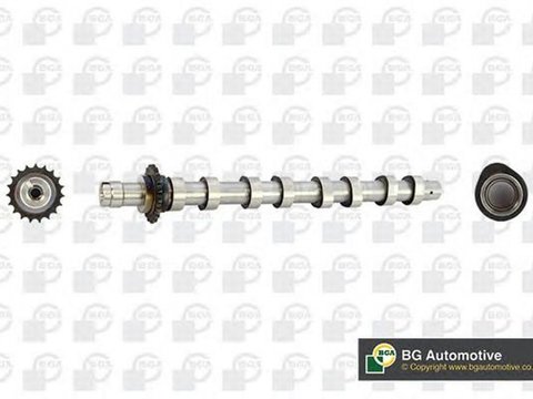 Ax came CITROEN C4 Picasso I UD BGA CS5531