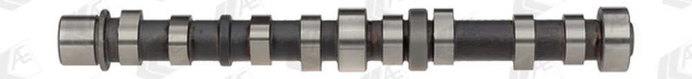 Ax came FIAT 500 312 AE CAM711