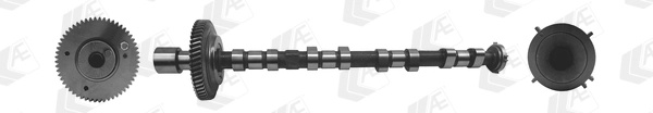 Ax cu came AE CAM973 montare admisie la masina MITSUBISHI L200 / TRITON (KA_T, KB_T) 4D56 (16V) 2477cc 133cp 98kW 2005 2006 2007 2008 2009 2010 2011 2012 2013 2014 2015